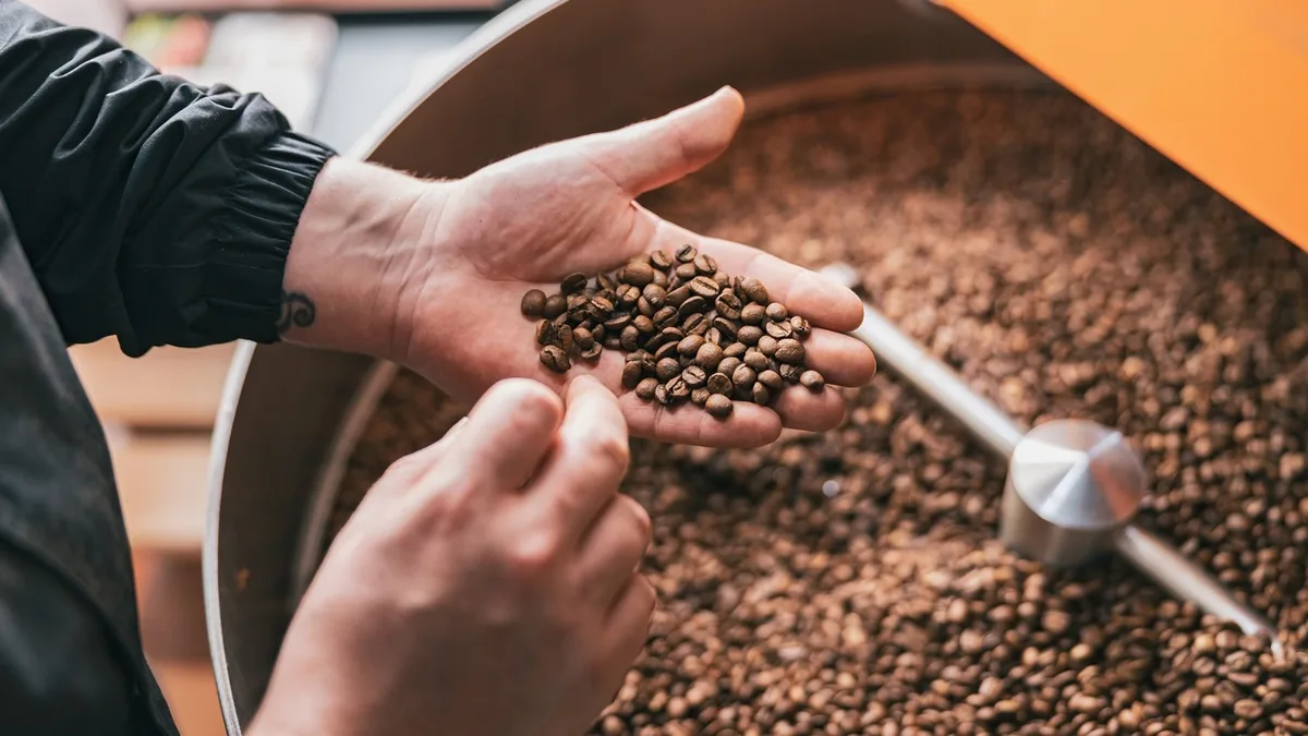  Premium vs. Regular Coffee: What sets them apart?