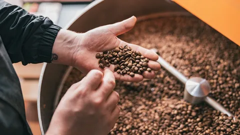  Premium vs. Regular Coffee: What sets them apart?